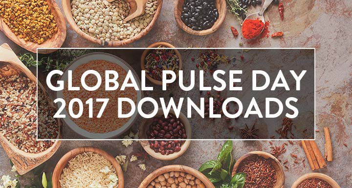 Global Pulse Day Downloads